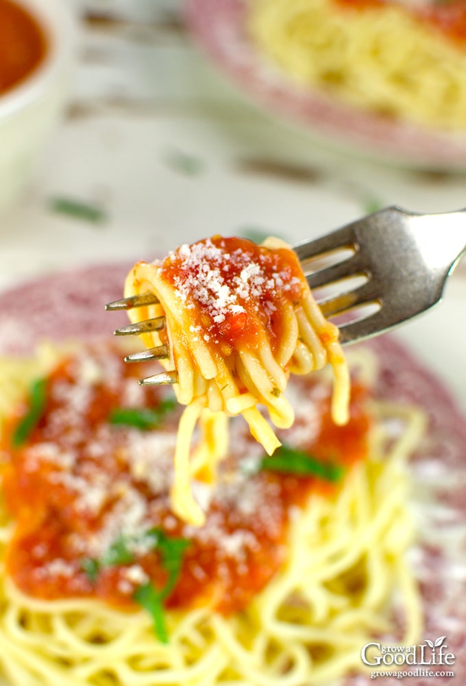 A fork full of summer tomato sauce.