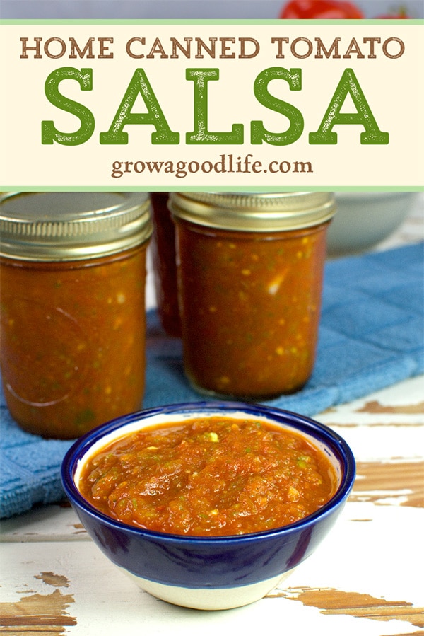 Konservieren Sie die Ernte von Tomaten, Paprika und Zwiebeln mit diesem sicheren Einmachrezept für Tomatensalsa. Legen Sie Ihre Vorratsregale mit Gläsern von Tomatensalsa in Dosen aus und genießen Sie das ganze Jahr über die köstlichen Aromen des Sommers. Besuchen Sie uns für das Rezept und die vollständige Anleitung.