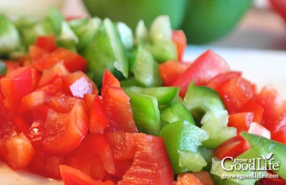 Zesty Salsa Recipe for Canning