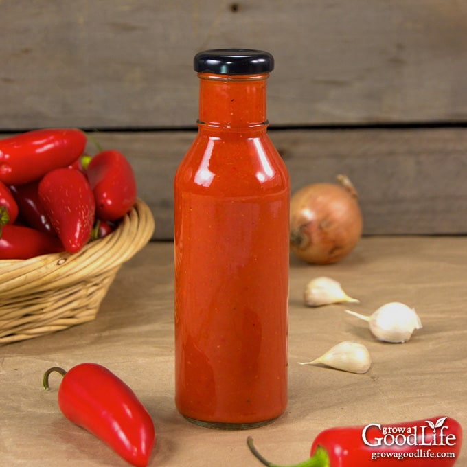 Roasted Red Jalapeno Hot Sauce Recipe