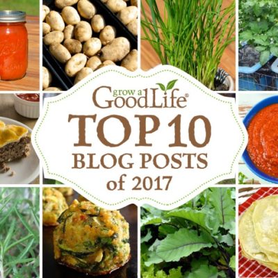 Your favorites include articles about growing an organic vegetable garden, preserving the harvest, and enjoying garden fresh recipes!