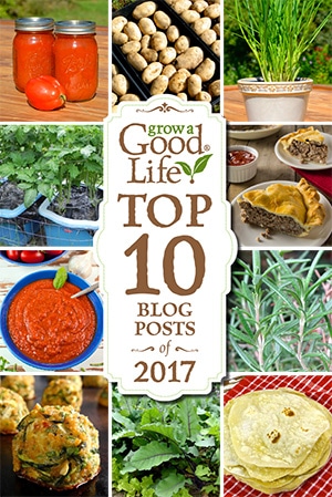 Your favorite articles about growing an organic vegetable garden, preserving the harvest, and enjoying garden fresh recipes!