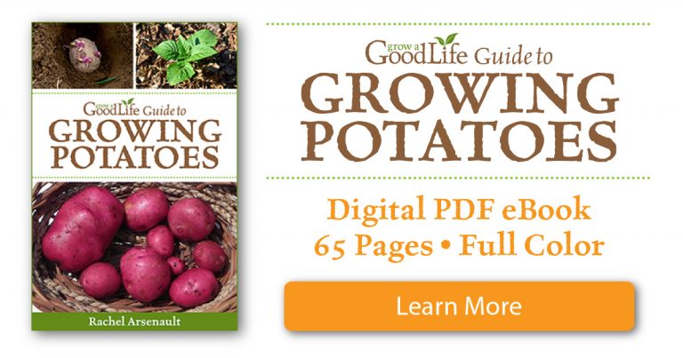 Potato Growing Guide.pdf 8 Great Tips for Growing Potatoes