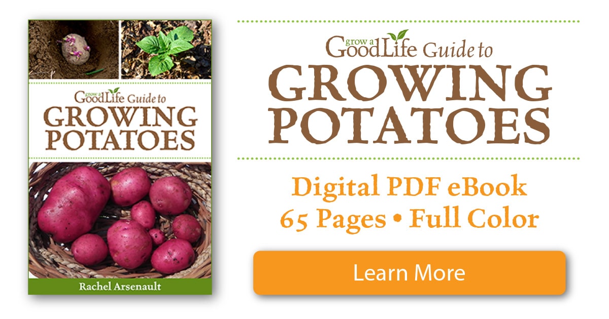 Whether you are striving for a few gourmet fingerling potatoes for fresh eating or growing a large crop for winter food storage, this book will show you how can grow your own, homegrown potatoes.