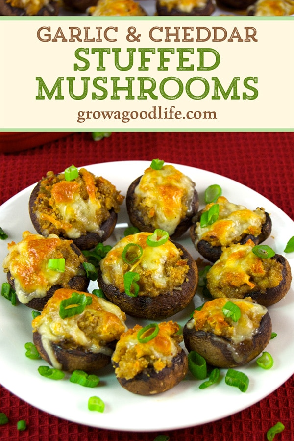 Garlic and Cheddar Stuffed Mushrooms