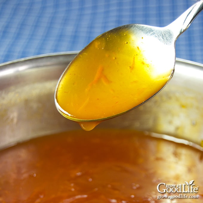 closeup of a spoon of orange pineapple sweet and sour sauce