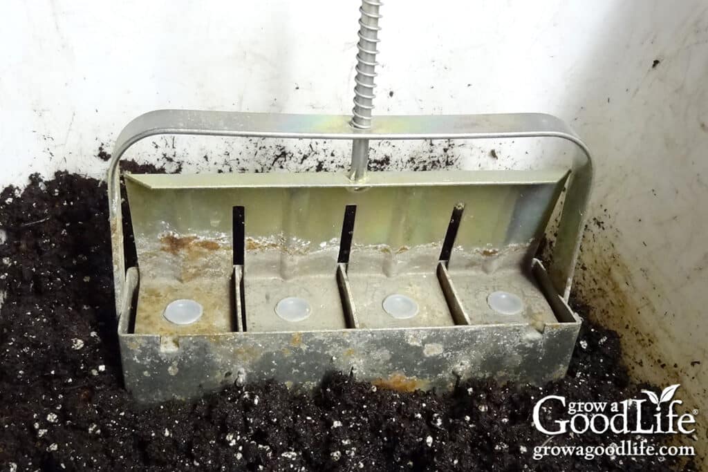 Forming the soil blocks with the soil blocker tool.