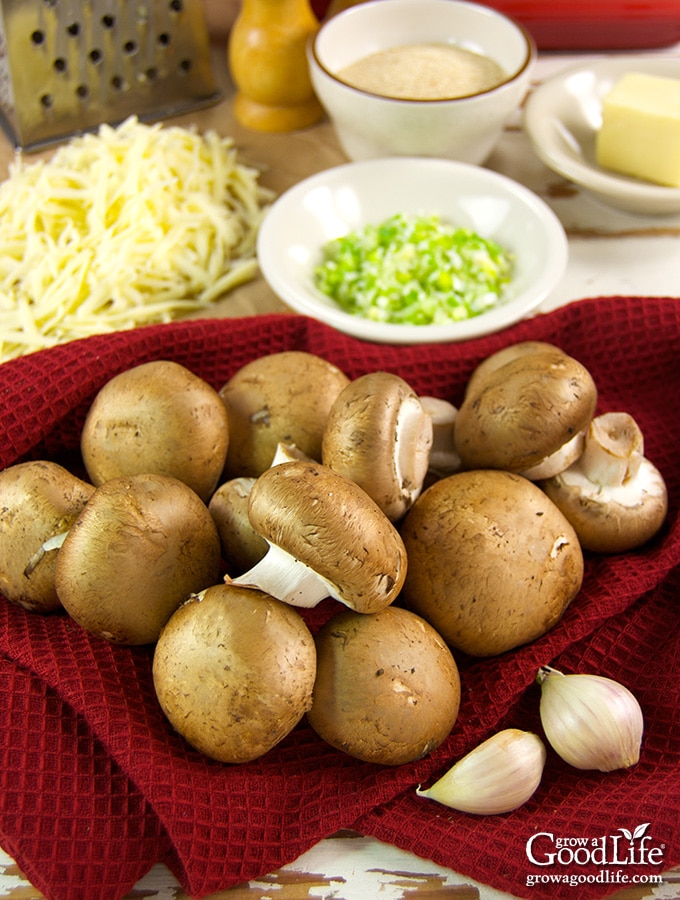 ingredients for stuffed mushrooms