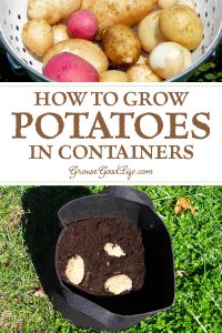 How To Grow Potatoes In Containers