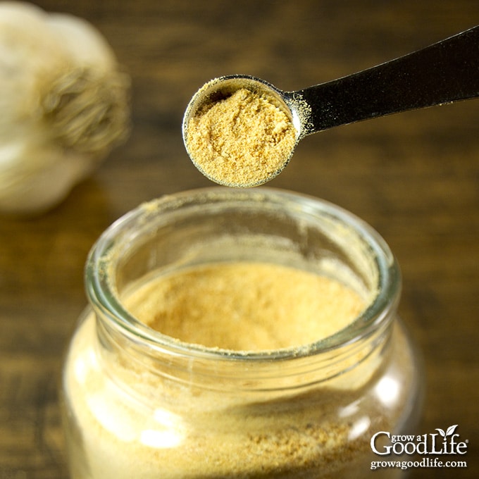 overhead image of a spoon of garlic powder