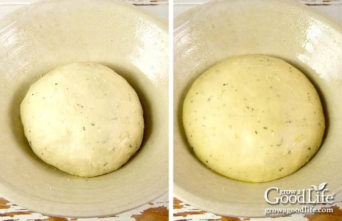 bread dough rising in bowl