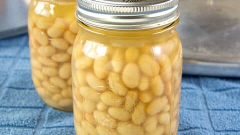 two jars of canned beans on a blue towel