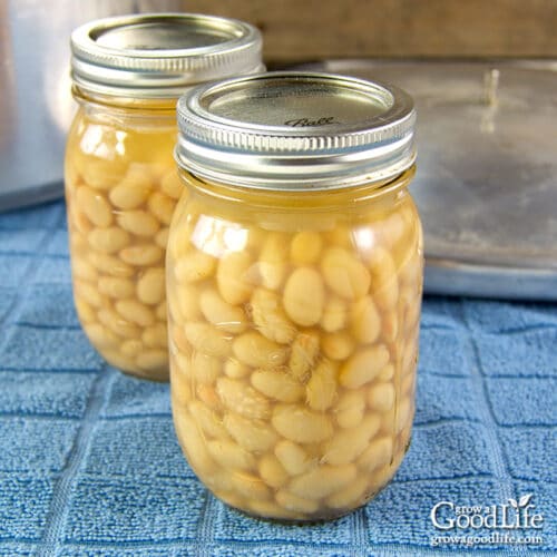 Canning Dried Beans