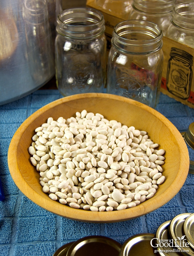 bowl of dried beans and canning equipment on a table