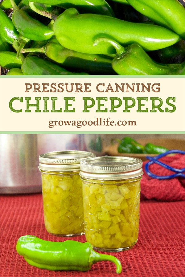 Any type of pepper can be canned with this method, including Anaheim, New Mexico, Jalapeño, Poblano, Serrano, and even sweet bell peppers. Feel free to mix and match peppers. Learn how to can peppers for pantry food storage.