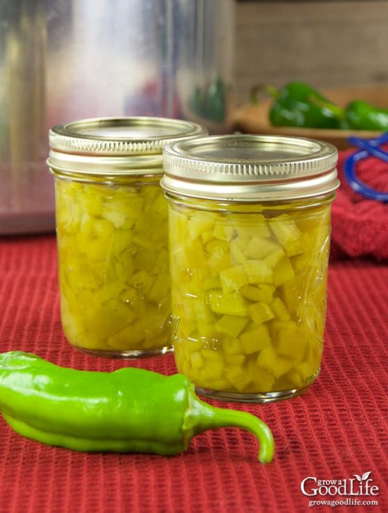 Canning Diced Green Chile Peppers