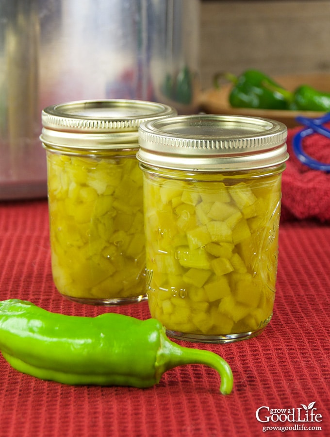 Canning Green Chili Sauce Recipe Dandk Organizer