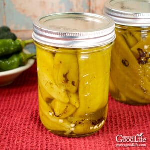 jars of home canned green chile peppers on a table