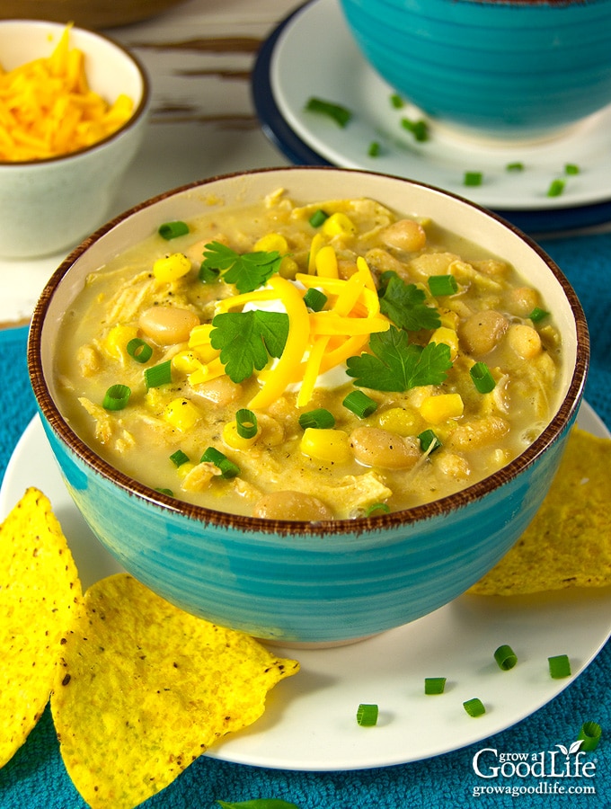 This is a super easy crockpot white bean chicken chili recipe that is filled with flavor. In this recipe, chicken is seasoned with Mexican spices, combined with white beans, onions, garlic, green chilies, and slow cooked all day. The flavors mingle into a delicious mild chili.