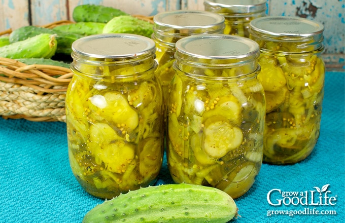 canning jars of sweet and sour pickles on a blue towel
