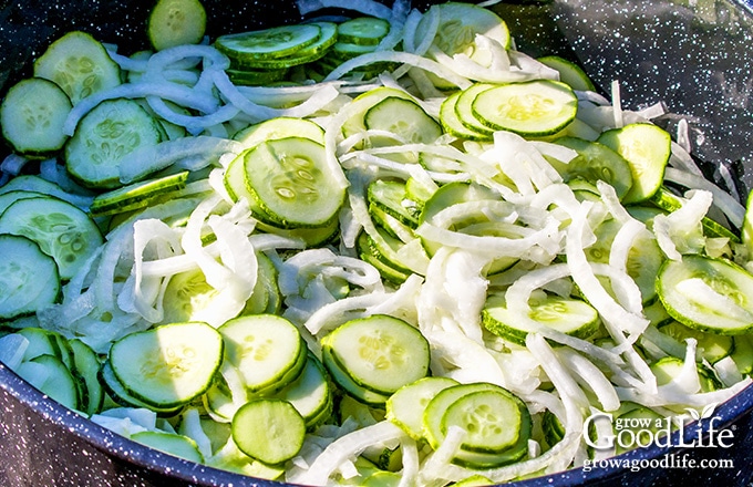 Granny S Bread And Butter Pickles Recipe