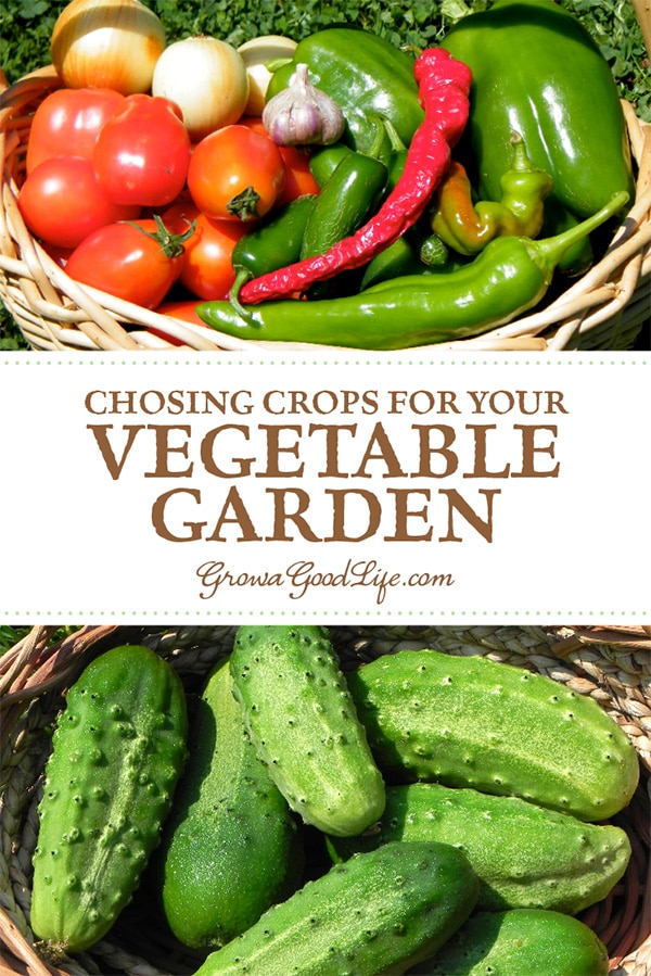 When planning your vegetable garden, it is easy to become overwhelmed with the selection. Here are some tips to help you with choosing vegetables to grow.
