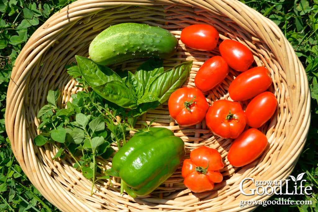 Overhead view of a basket of freshly harvested tomatoes, pepper, cucumber, and herbs.