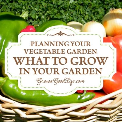 When planning your vegetable garden, it is easy to become overwhelmed with the selection. Here are some tips to help you with choosing vegetables to grow.