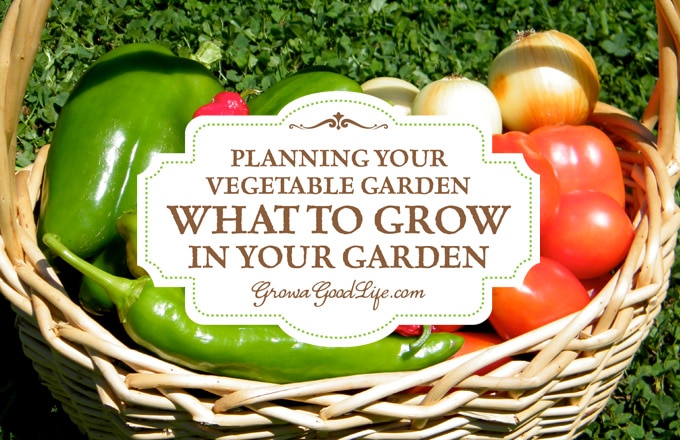 Vegetable Garden Planning: Choosing Vegetables to Grow