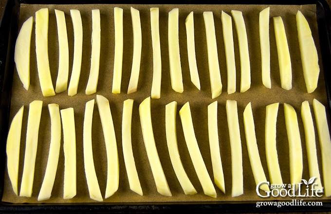 baking sheet of blanched fries ready to freeze
