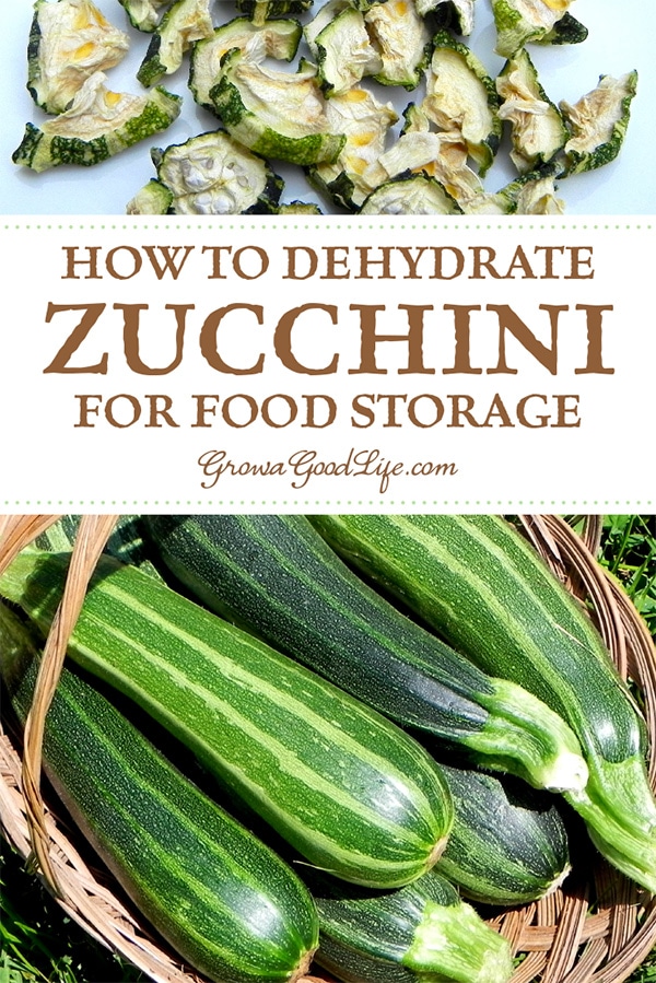 Dehydrating Zucchini For Food Storage