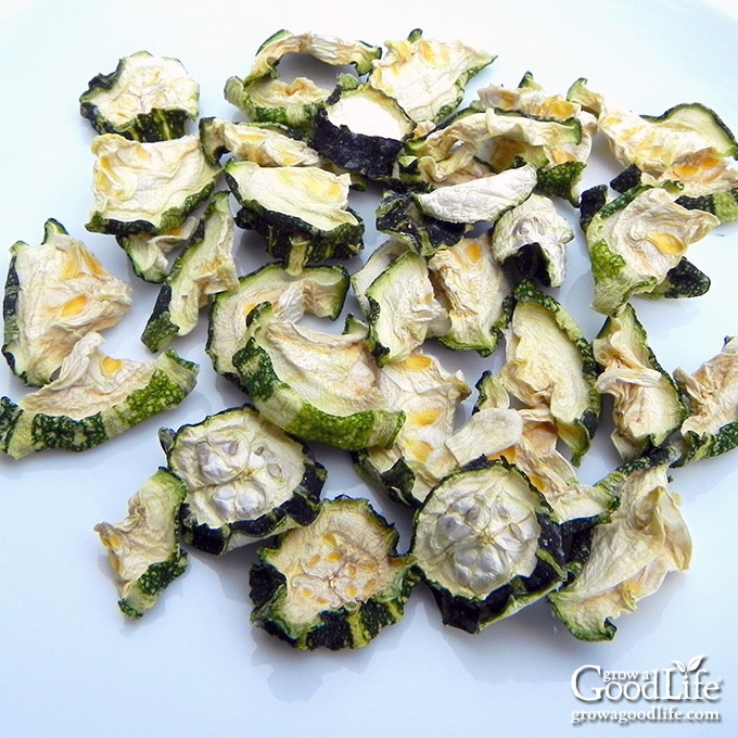 dehydrated zucchini on a white plate