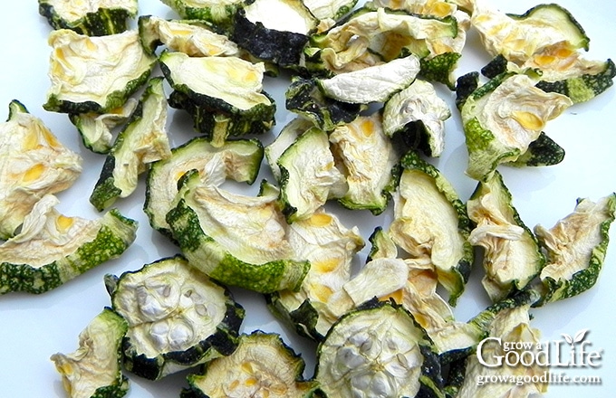Dried zucchini takes up very little space. Believe it or not, about four pounds of zucchini will shrink enough to fit into one pint sized jar. If you have a food dehydrator, put it to use to preserve zucchini by drying it.
