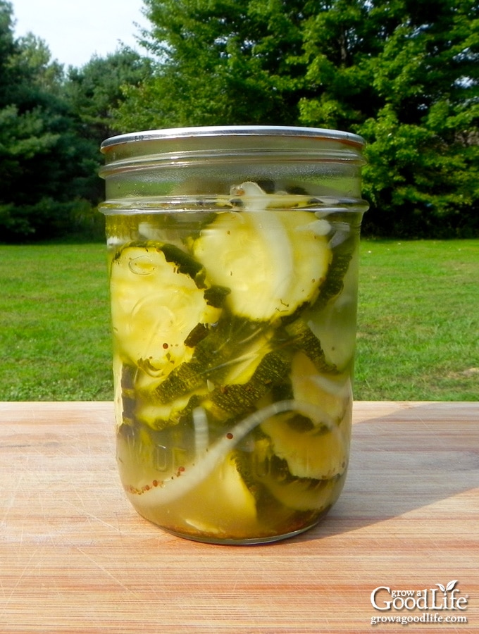 Sweet and Sour Zucchini Pickles