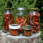 Got peppers? Drying is an excellent way to preserve peppers. Dehydrating removes the moisture and concentrates the flavor and heat of the peppers.