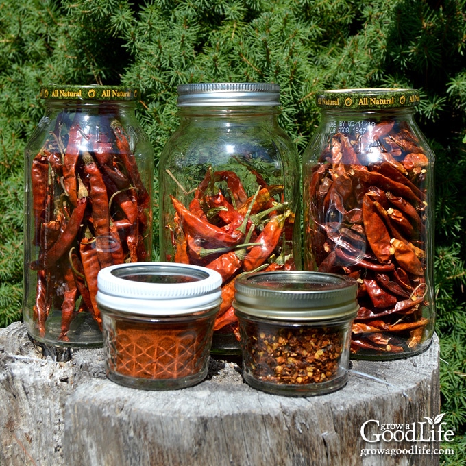 Featured image of post Steps to Prepare Sun Dried Peppers Recipe