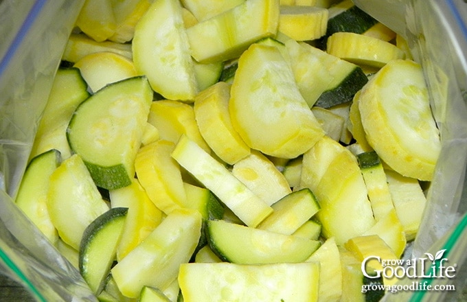 Featured image of post How to Make Can You Freeze Fresh Zucchini And Yellow Squash