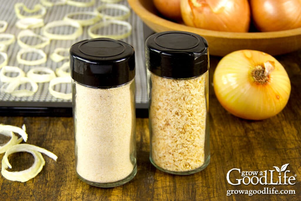 Jars of homemade dehydrated onions as minced onions and onion powder.