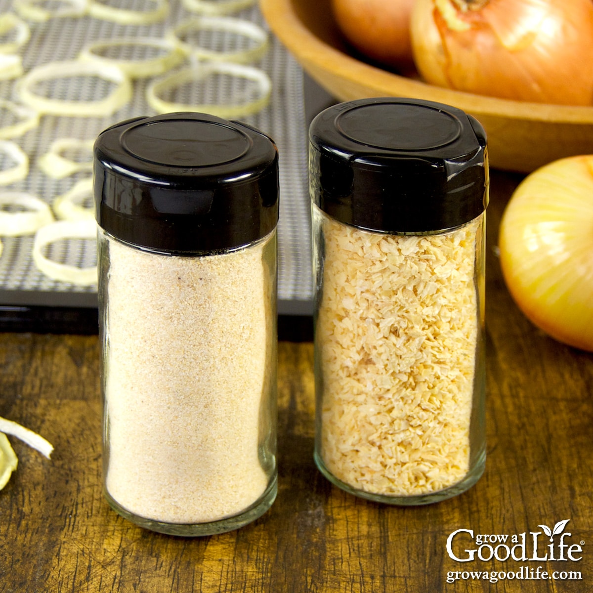Two spice jars with dried minced onions and onion powder with dehydrator trays in the background.