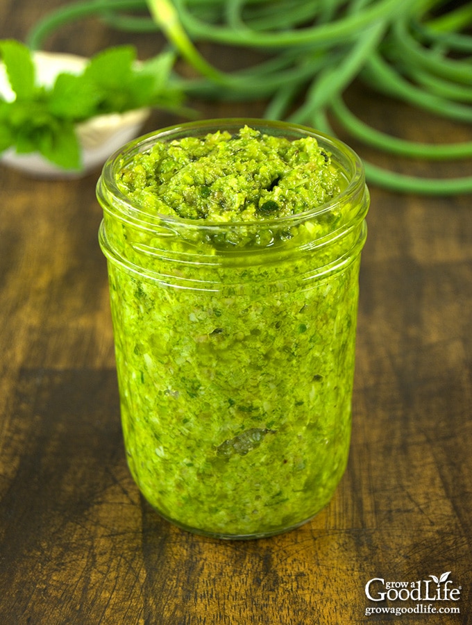 This garlic scape lemon balm pesto is a slight twist from your regular pesto. This recipe combines garlic scapes with lemon balm for an early garden fresh variation. Spoon this pesto on pasta, seafood, and even sandwiches.
