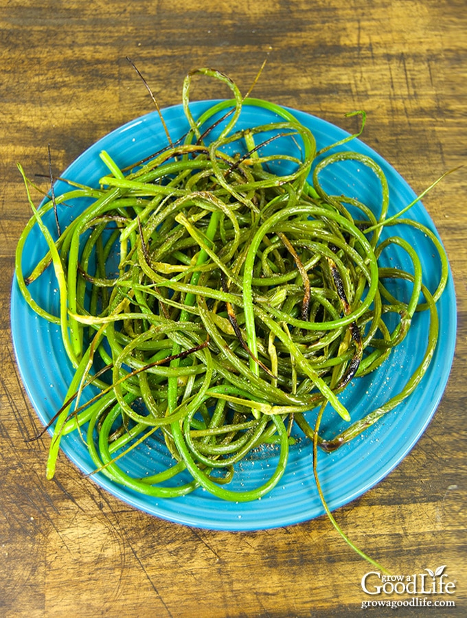 This grilled garlic scapes recipe adds a layer of sweet smoky char to the mild garlicky flavor, and then enhances it further with a simple dusting of sea salt and freshly ground pepper.