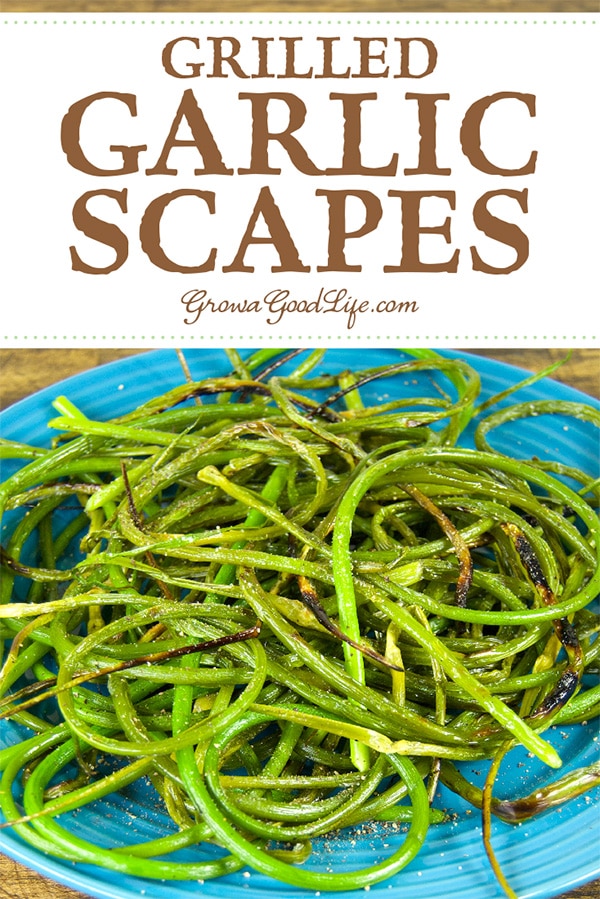 This grilled garlic scapes recipe adds a layer of sweet smoky char to the mild garlicky flavor, and then enhances it further with a simple dusting of sea salt and freshly ground pepper.