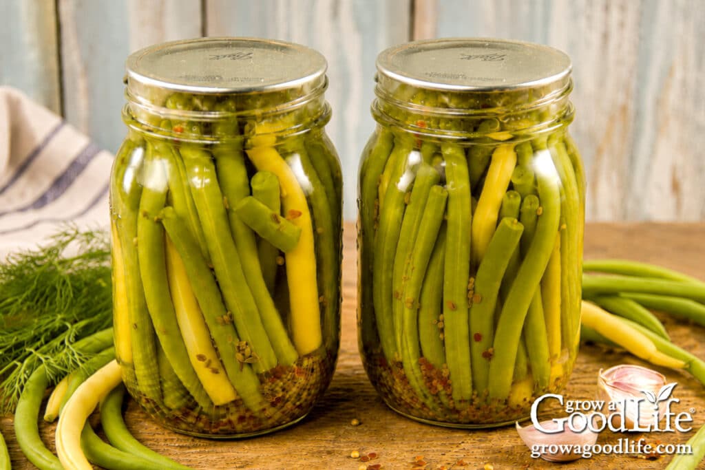 Two jars of home-canned dilly beans made with fresh green beans.