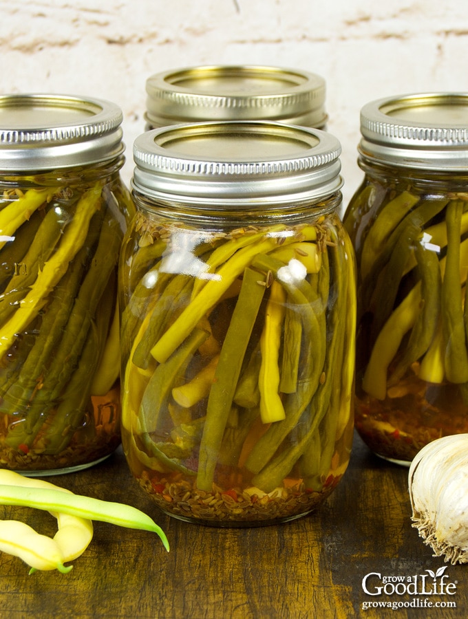 Old-fashioned Dilly Beans are zesty pickled string beans simply flavored with dill, garlic, and spicy pepper flakes.