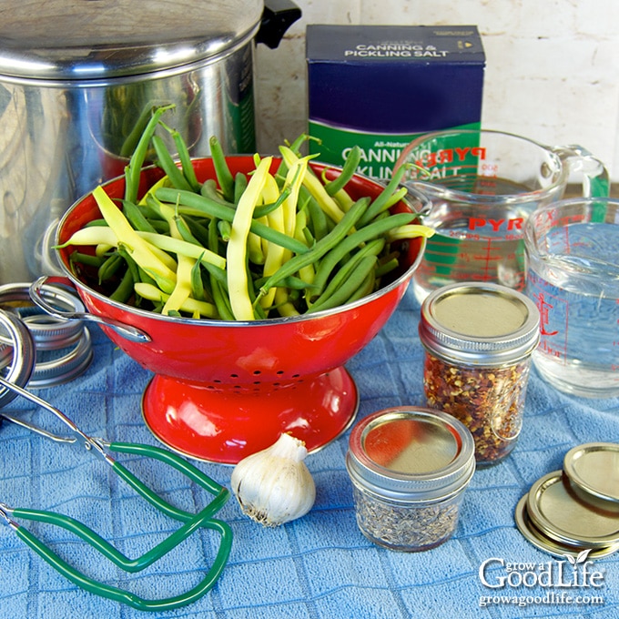 Ingredients to make pickled dilly beans