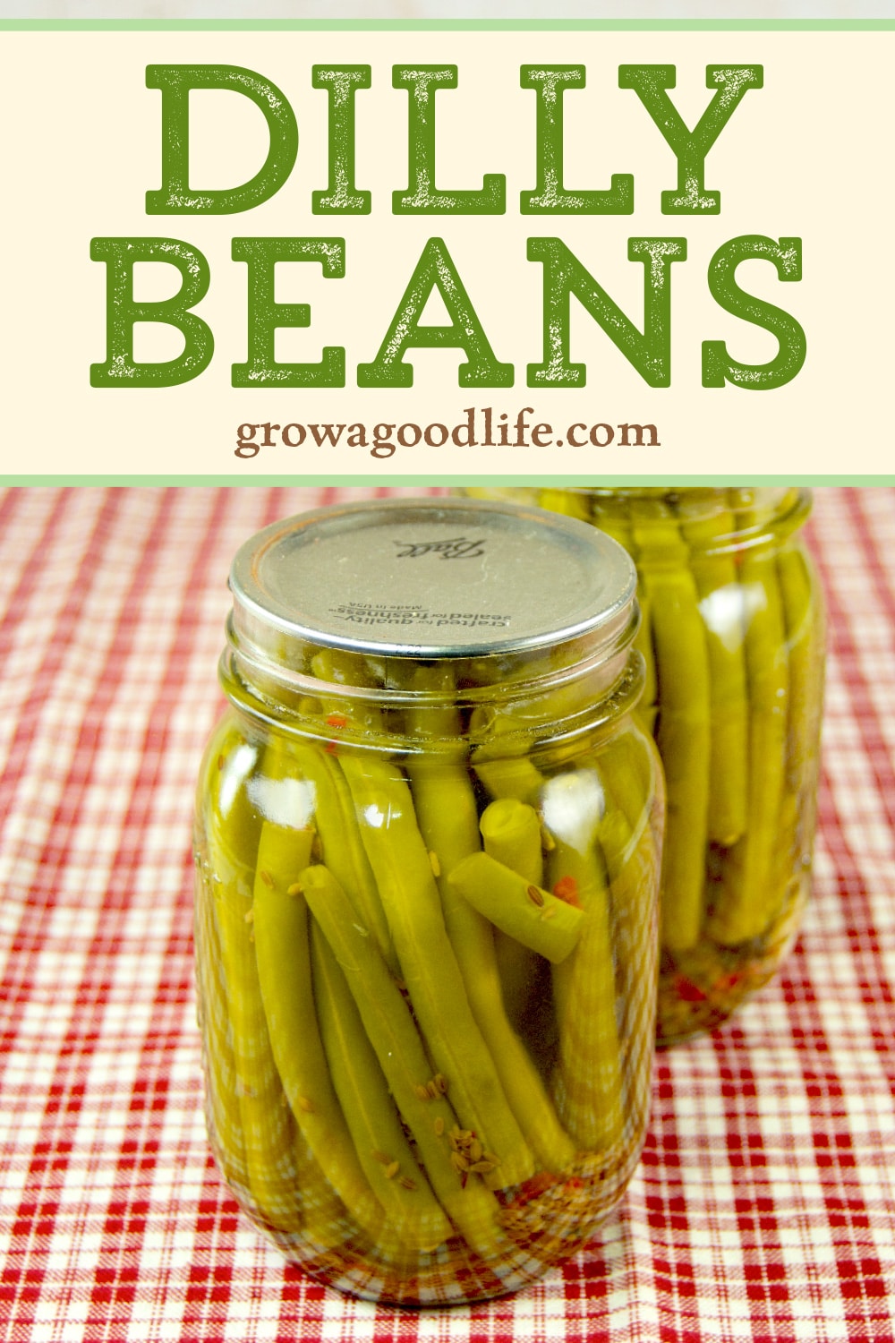 Good Old-Fashioned Pickled Dilly Beans