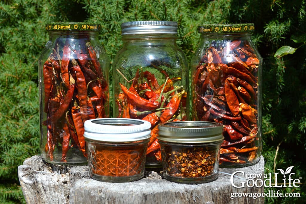 Jars of dried peppers, red pepper flakes, and chili powder stored for long-term use.