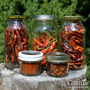 Assorted jars of dried peppers, crushed red pepper flakes, and homemade chili powder on a table.