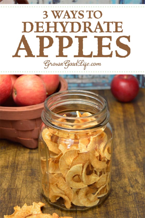 3 Ways to Dehydrate Apples for Food Storage