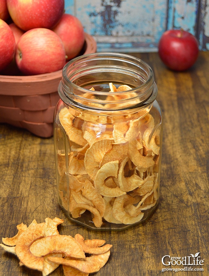 Drying apples is a great way to preserve the fresh fall harvest. Here are three ways to dehydrate apples for winter food storage, including air-drying, oven drying, and using a food dehydrator.